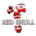The Red Skull The Red Skull